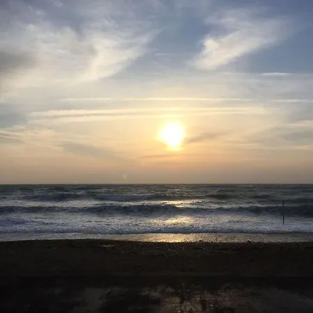 The Beach House-3